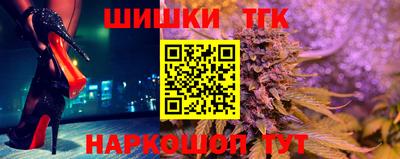 тгк Камышлов