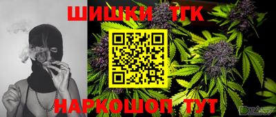 тгк Камышлов