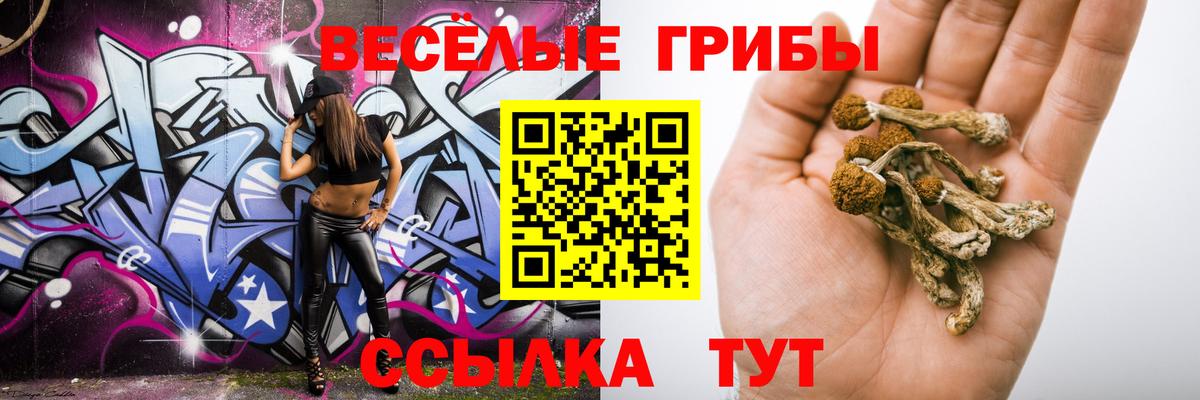 Галлюциногенные грибы GOLDEN TEACHER Геленджик