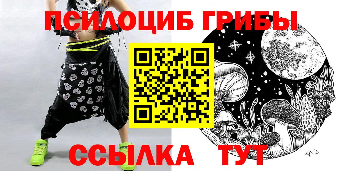 хочу   Вход с VPN  Геленджик  Псилоцибиновые грибы Psilocybe 